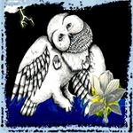 songs ohia