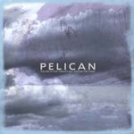 Pelican