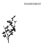 Teamforest
