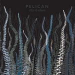Pelican