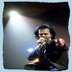 nick cave