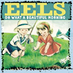 eels