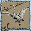 sufjan stevens