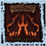 super furry animals