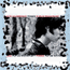 rufus wainwright