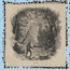 vetiver