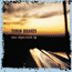turin brakes