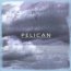 Pelican
