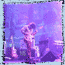 sonic youth