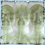supergrass