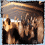 transmusicales 2005 (1/3)