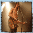 transmusicales 2005 (2/3)