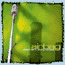 airbag