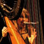 joanna newsom