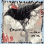 calexico