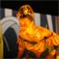 L'autre d�fil�, Philippe D�coufl�