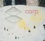Carp