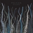 Pelican
