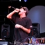 Animal Collective
