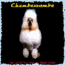 chumbawamba