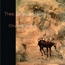 Thee, Stranded Horse