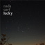 nada surf