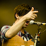 foals