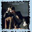 divine comedy