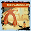 flaming lips
