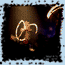 b�ruriers noirs