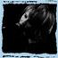this is the girl + fingerless + apel doorn