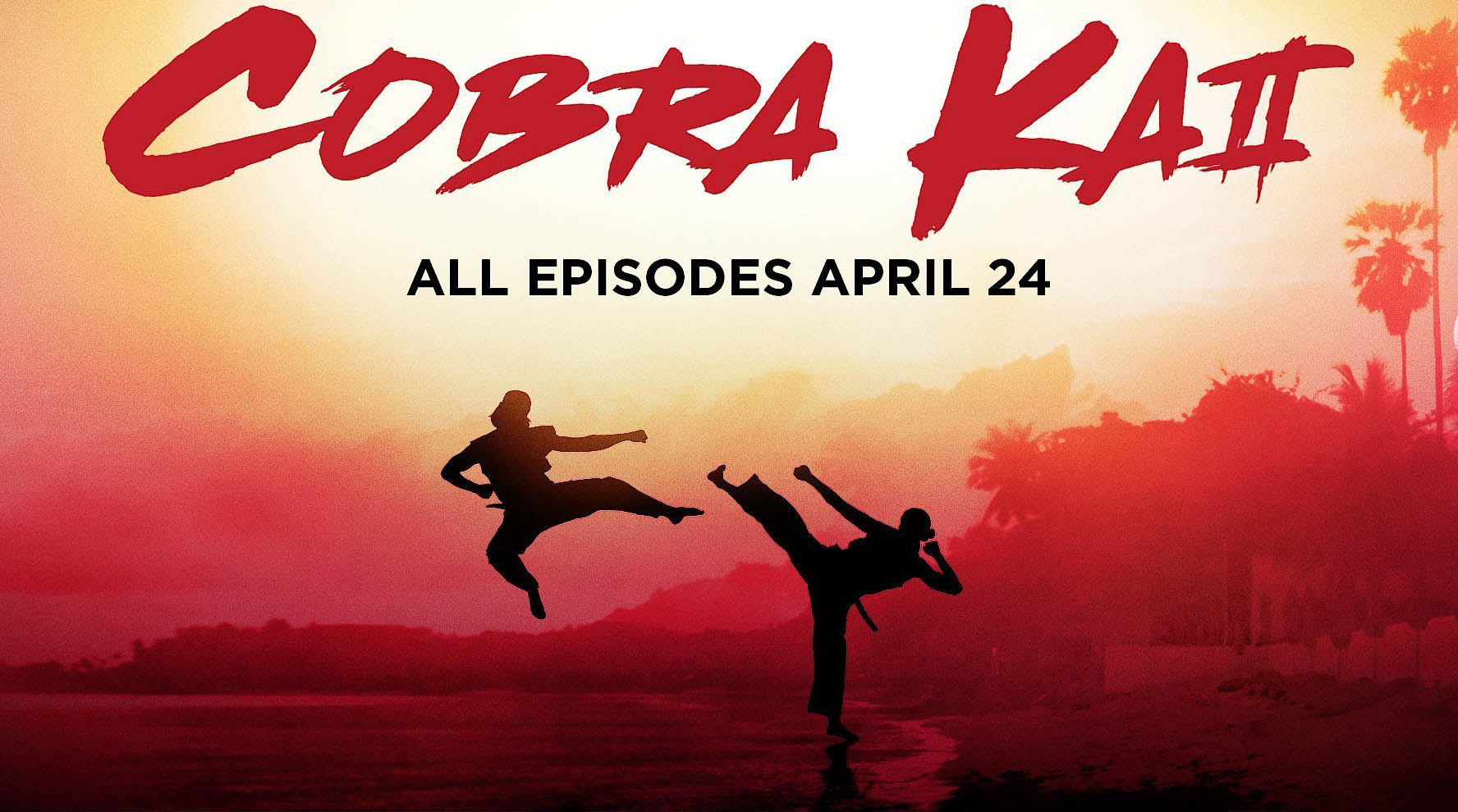 Cobra Kai - Saison 2 - Youtube Red [articles >séries ]